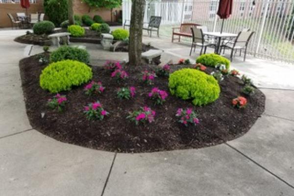 Landscaping & Maintenance