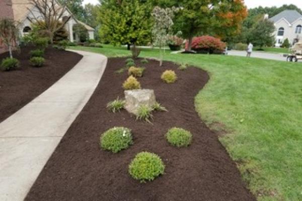 Landscaping & Maintenance